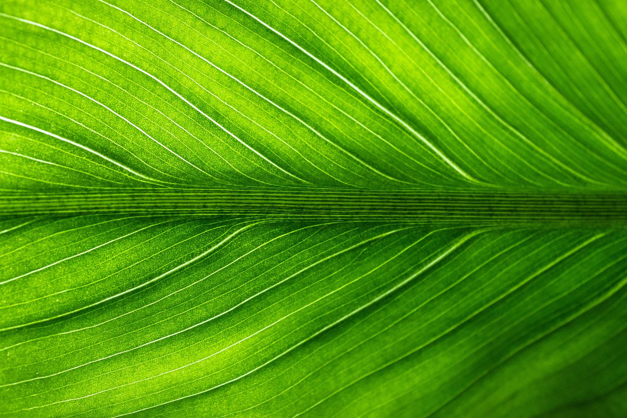 ISO 14001 Umweltmanagement ISO 14001 Umweltmanagement für den Mittelstand
