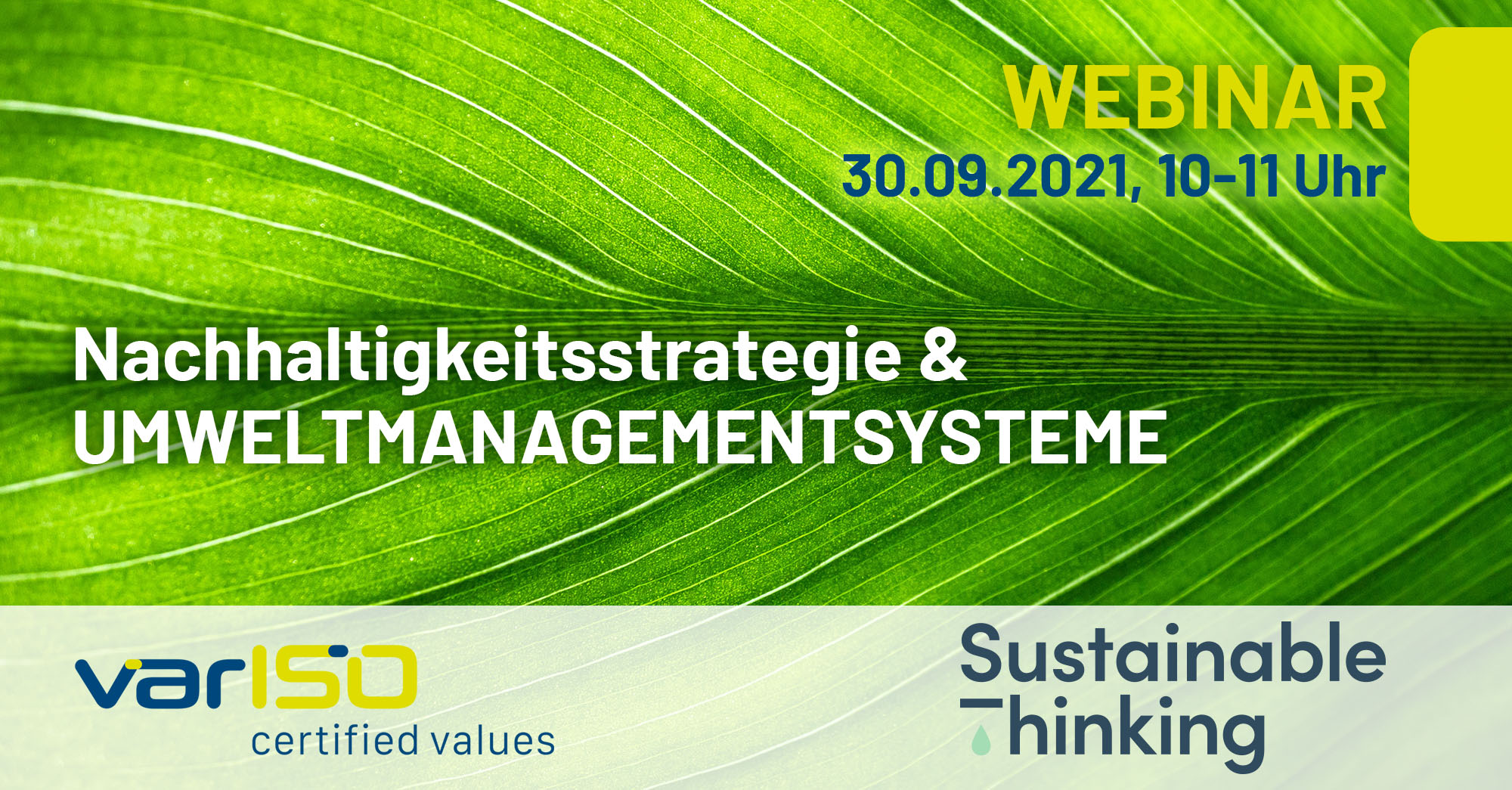 ISO 14001 Umweltmanagement Für Den Mittelstand | Beratung Z. Festpreis